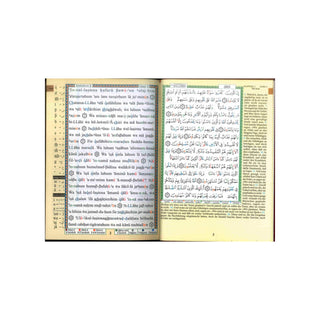 Tajweed Quran with Meanings Translation and Transliteration in Deutsche Spracher : German